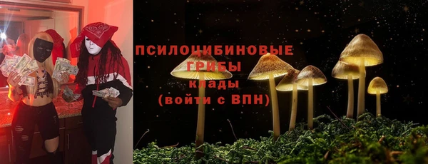 мет Аркадак