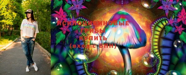 трава Армянск