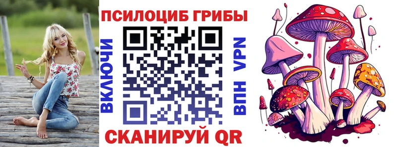 Галлюциногенные грибы MAGIC MUSHROOMS  цены наркотик  Избербаш 