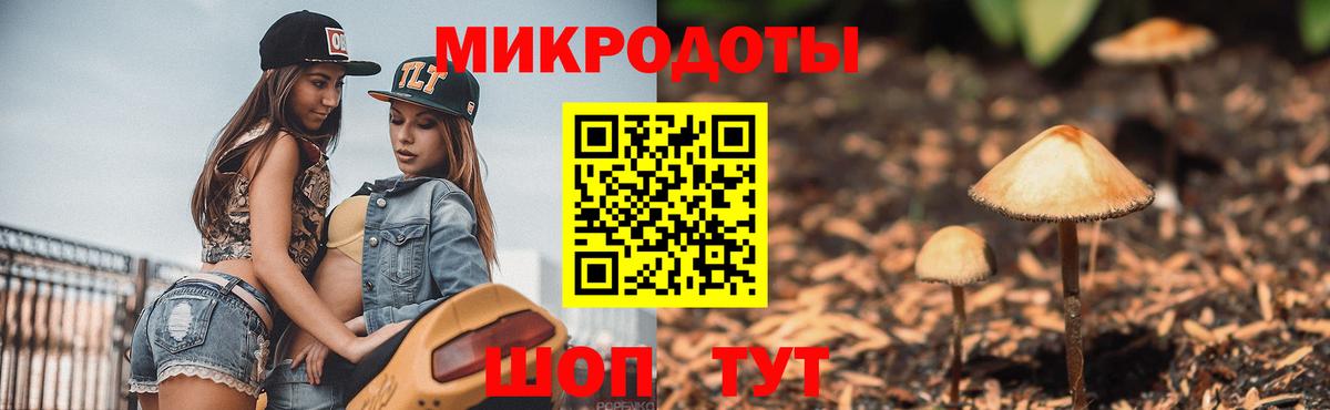 Псилоцибиновые грибы Magic Shrooms  Галлюциногенные грибы мухоморы  Избербаш 